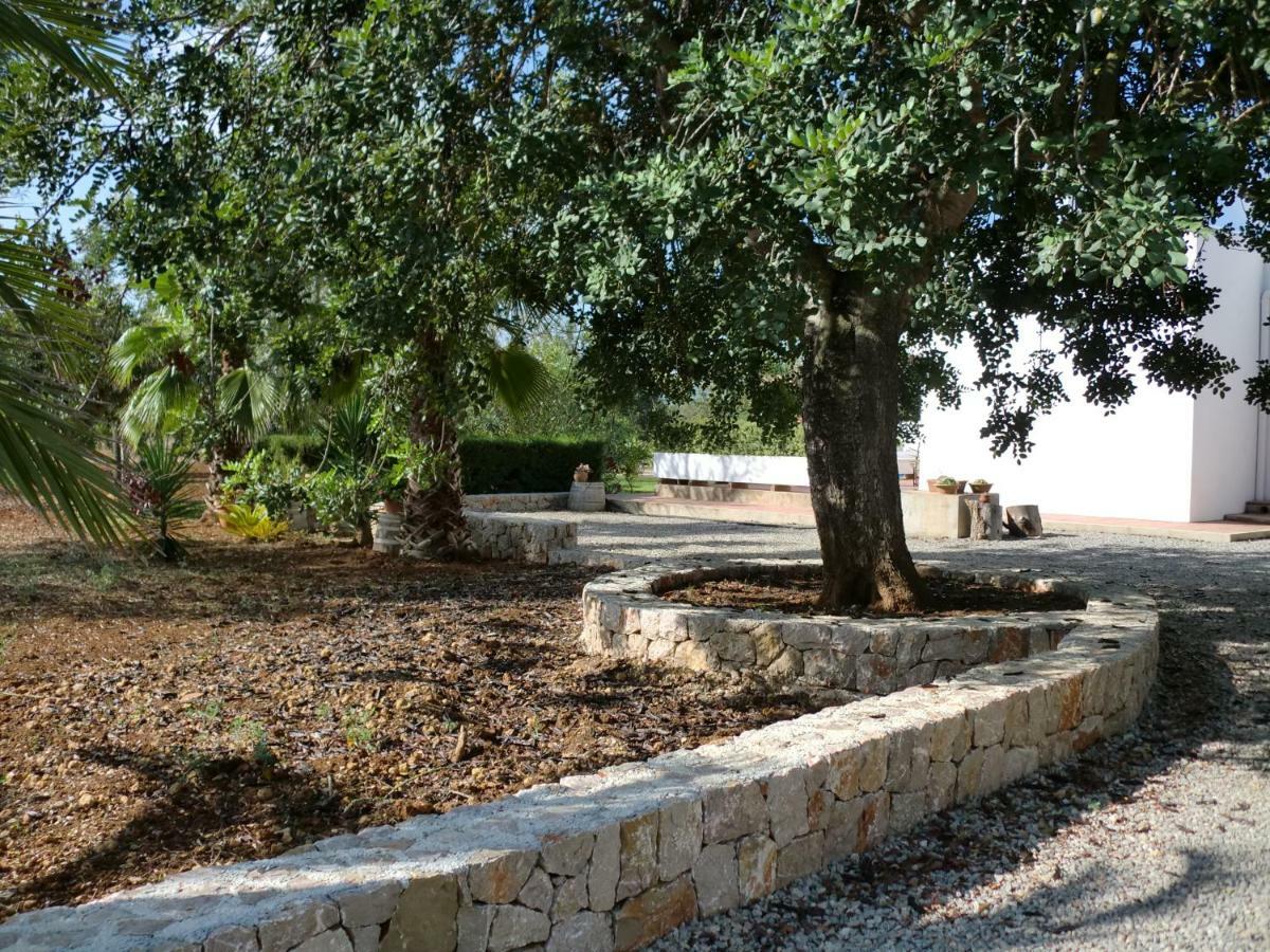 Villa Sa Vinyeta Sant Llorenc de Balafia Luaran gambar